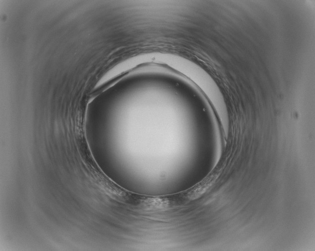 X0000060580421200511241346