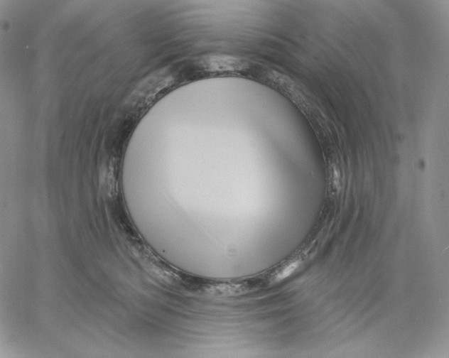 X0000060580422200511241346