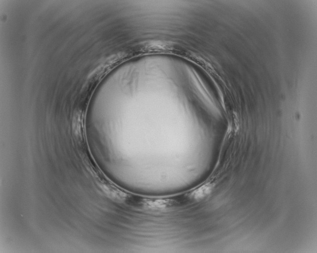 X0000060580423200511241346