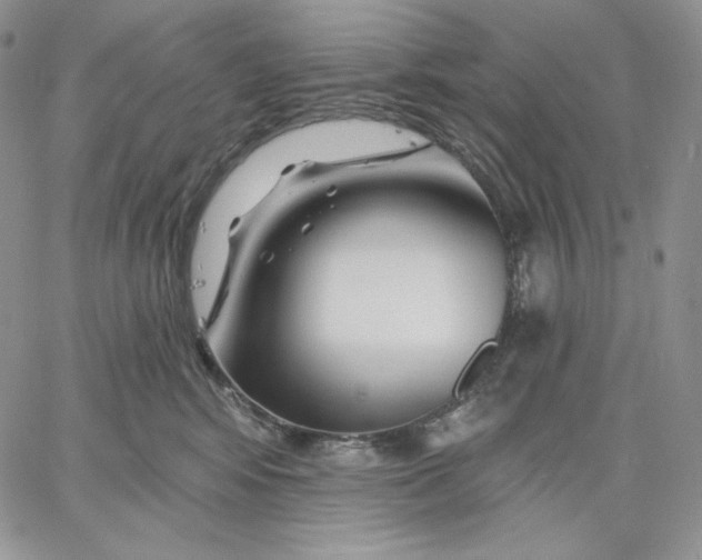 X0000060580424200511241346