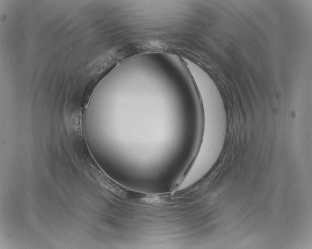 X0000060580425200511241346