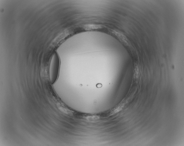 X0000060580426200511241346