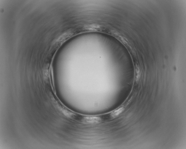 X0000060580427200511241346