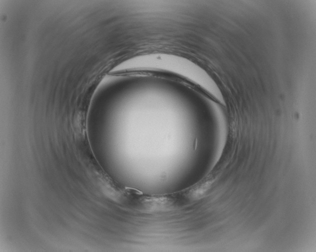 X0000060580428200511241346