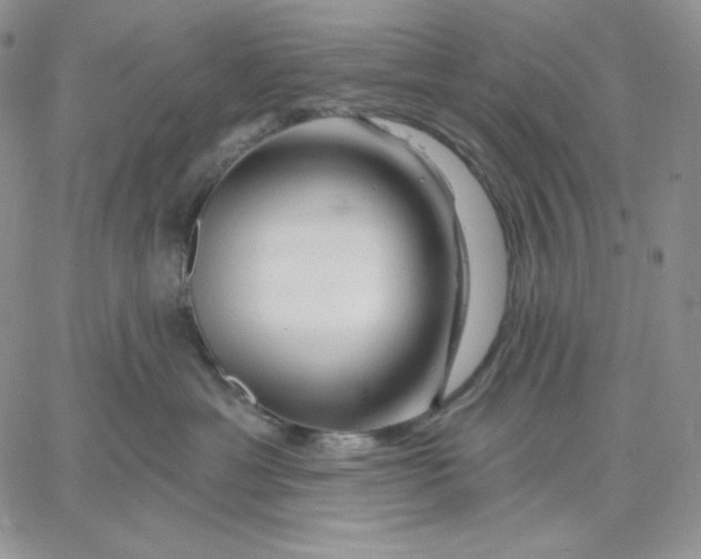 X0000060580429200511241346