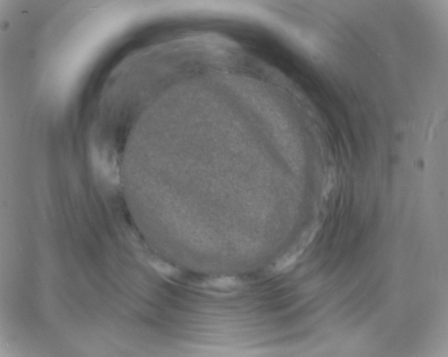 X0000060580431200511241346