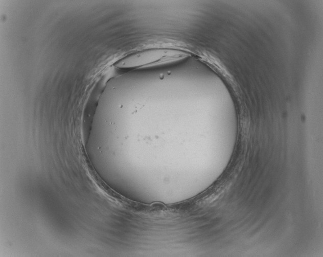 X0000060580433200511241345