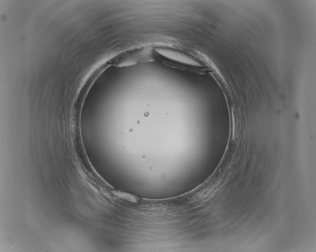 X0000060580435200511241345