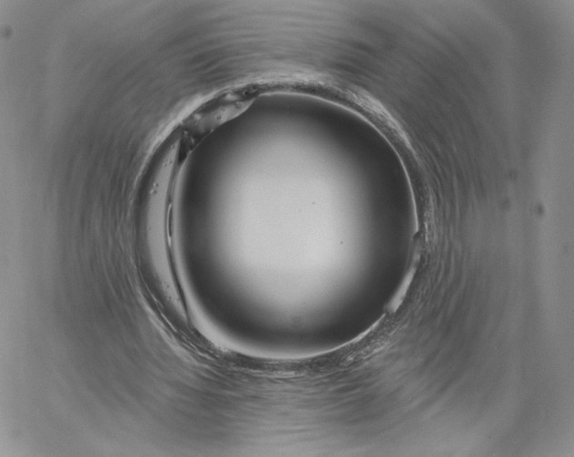 X0000060580436200511241345