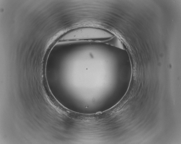 X0000060580438200511241345