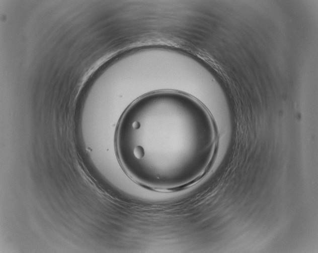 X0000060580440200511241345