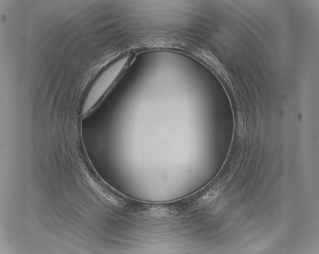 X0000060580441200511241345