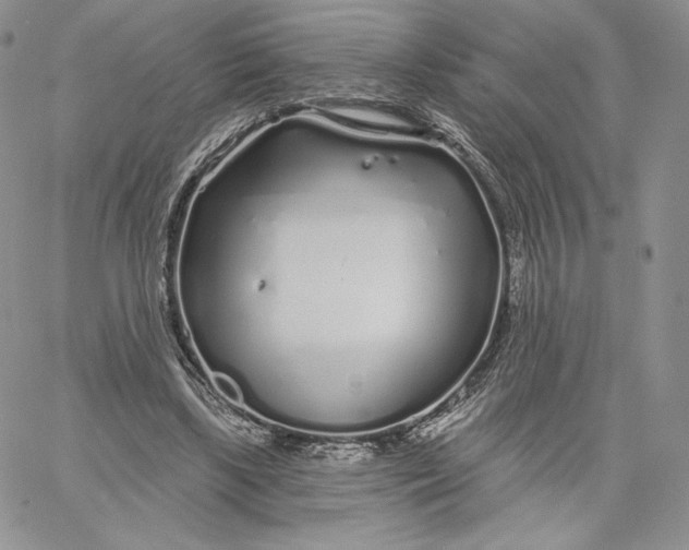 X0000060580443200511241345