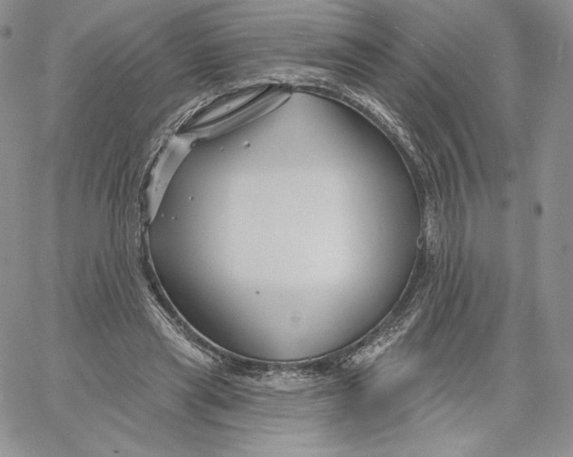 X0000060580445200511241345