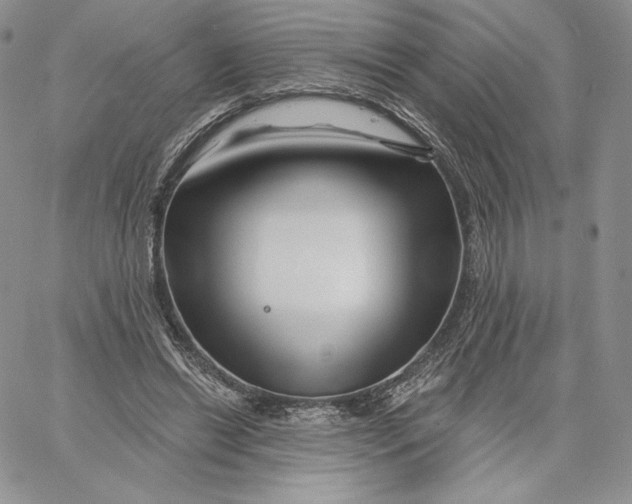 X0000060580446200511241345