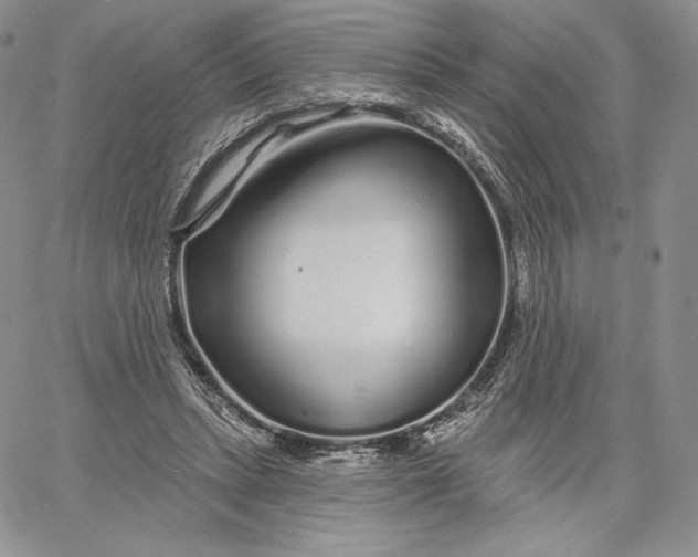 X0000060580447200511241345