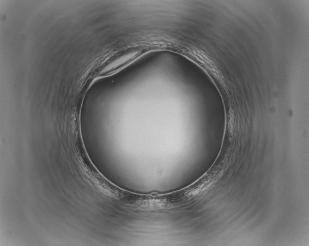 X0000060580449200511241345