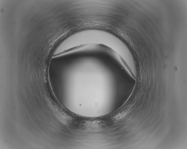 X0000060580450200511241345