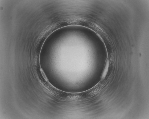 X0000060580452200511241345