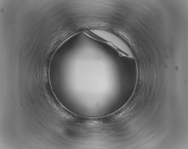 X0000060580453200511241345