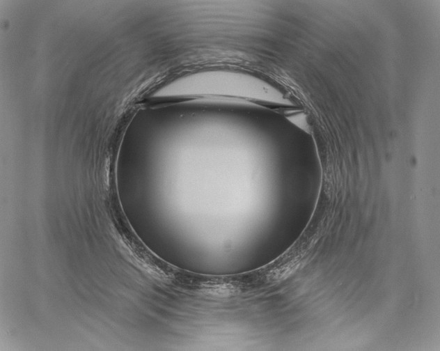 X0000060580454200511241345