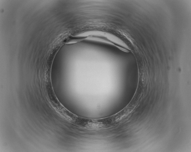 X0000060580455200511241345