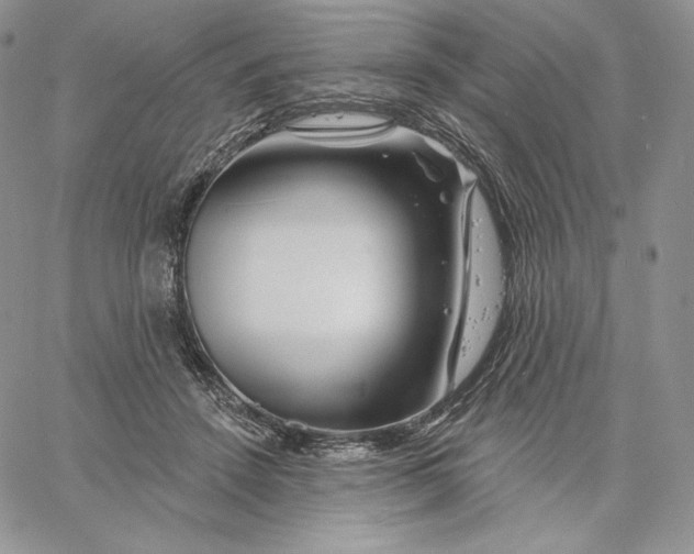 X0000060580456200511241345