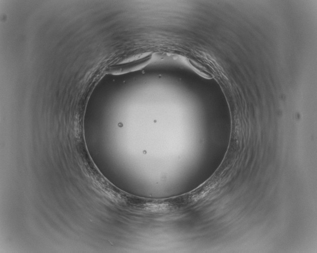 X0000060580457200511241345