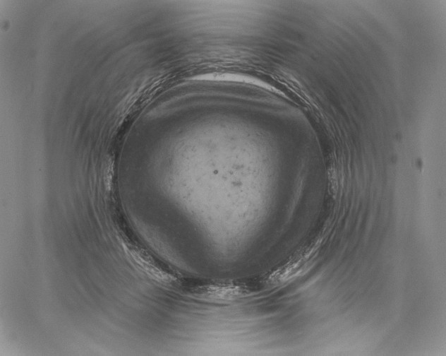 X0000060580458200511241345