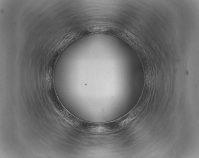 X0000060580460200511241345