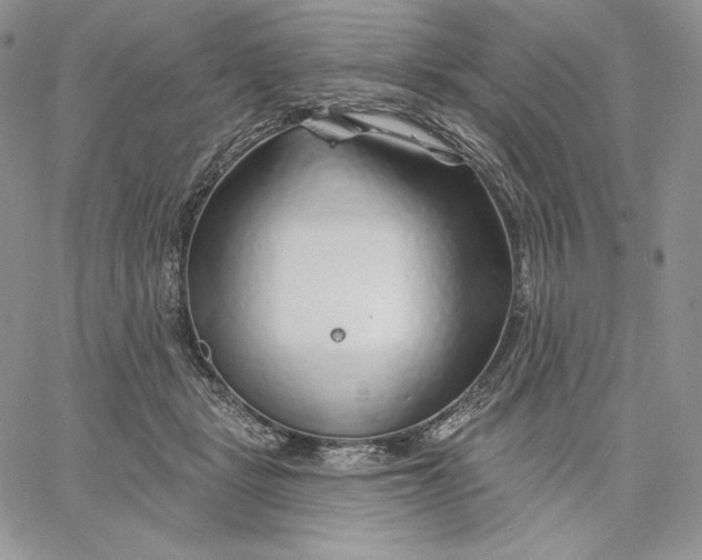 X0000060580461200511241345