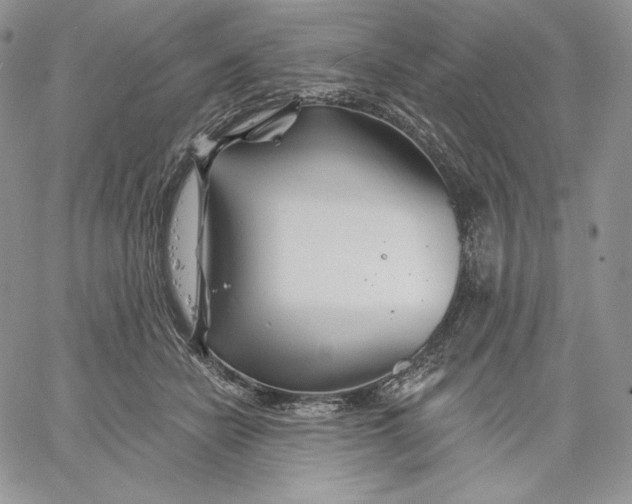 X0000060580462200511241345