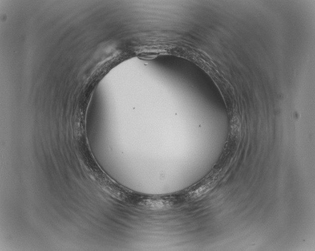 X0000060580464200511241345