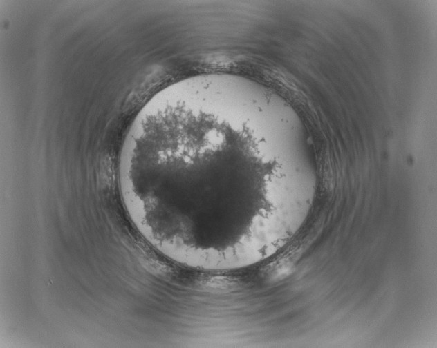 X0000060580467200511241345