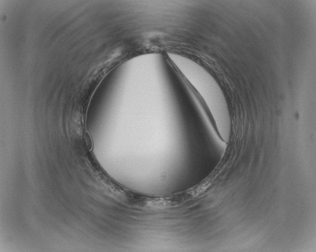 X0000060580470200511241345