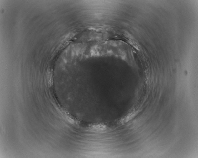 X0000060580471200511241346