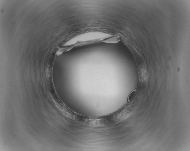 X0000060580472200511241346