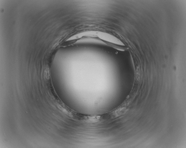 X0000060580474200511241346