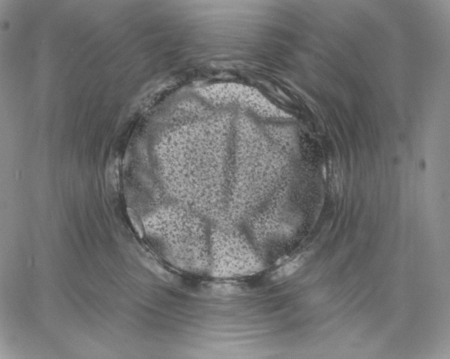 X0000060580475200511241346