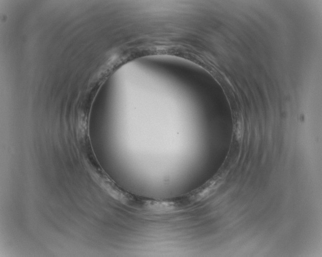 X0000060580476200511241346