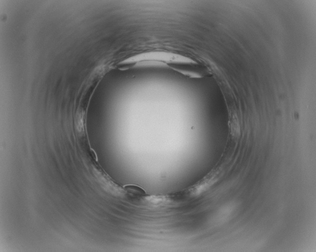 X0000060580477200511241346