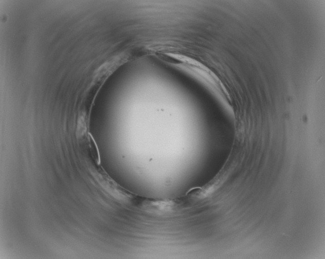 X0000060580478200511241346