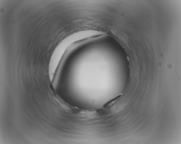 X0000060580480200511241346