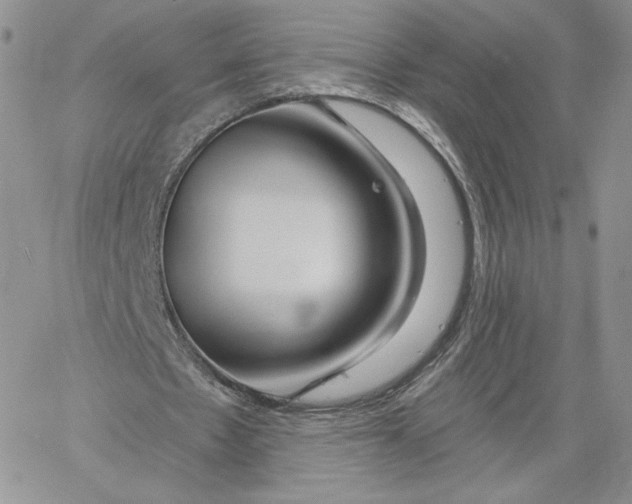 X0000060580481200511241345