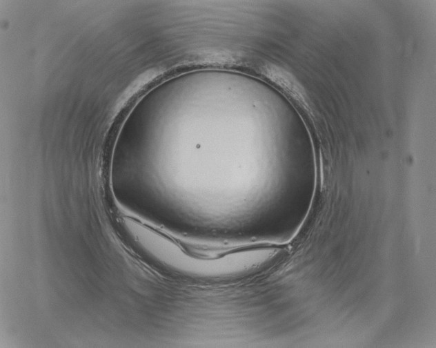 X0000060580483200511241345