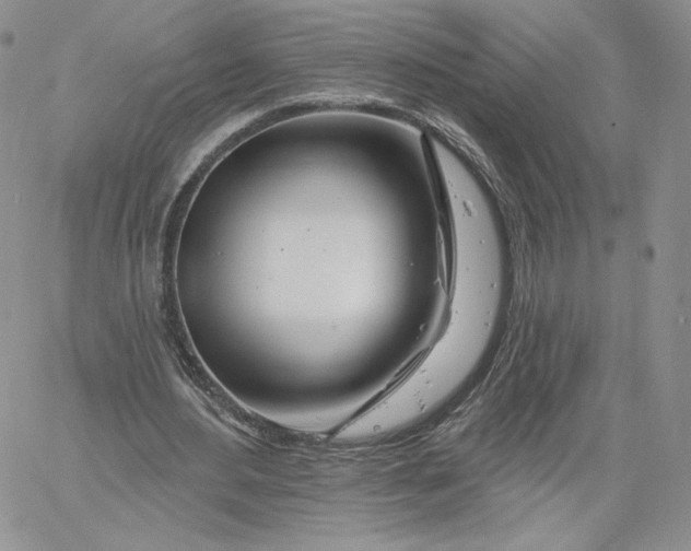 X0000060580484200511241345