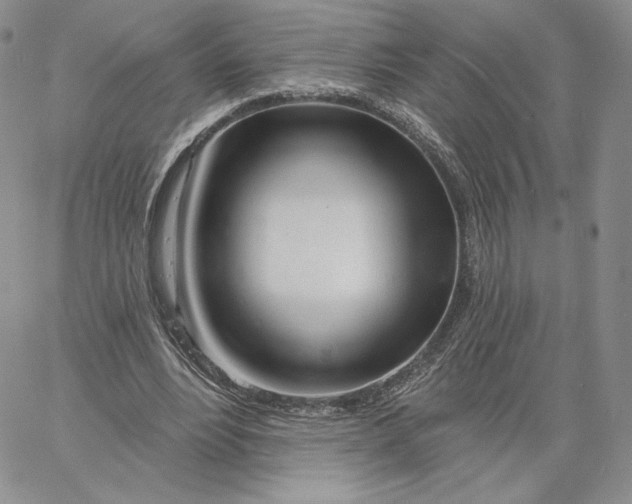 X0000060580488200511241345