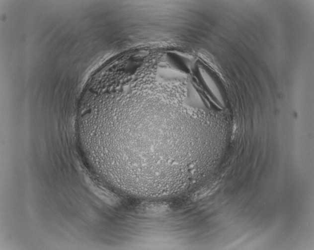 X0000060580491200511241345