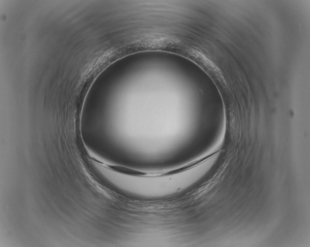 X0000060580493200511241345