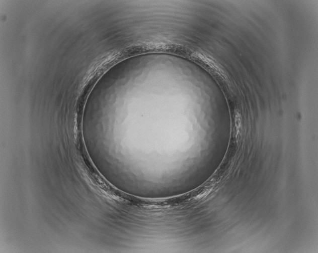 X0000060580494200511241345